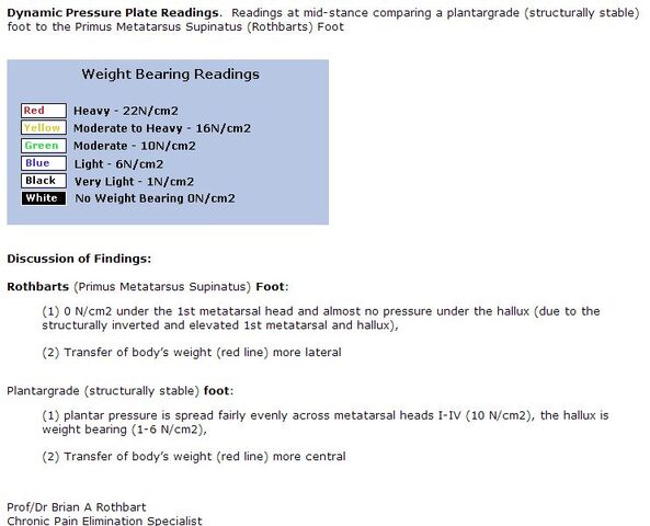 File:Dynamic PPA Info.jpg