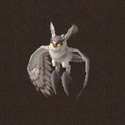 Young owl