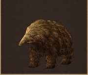 Brown Almiki
