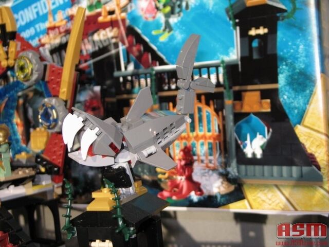 Plik:Grey Shark.jpg