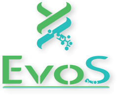 File:EvoS-Logo.png