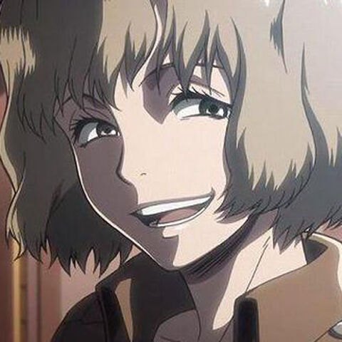 ファイル:ヒッチ01.jpg