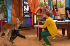 230px-Kangaroos & Chaos.png