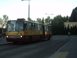 250px-DSC04287.jpg