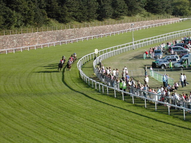 File:Racecourse In Chester3.jpg