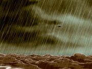 Storm