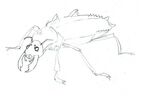 Insect demon