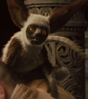 Momo | Avatar Wiki | FANDOM powered by Wikia