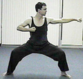Thumbnail for version as of 01:55, December 7, 2012