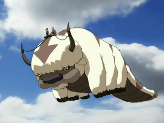 Appa | Avatar Wiki | FANDOM powered by Wikia