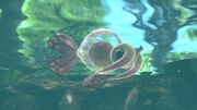 Sputtlefish