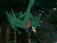 Flying iguana parrot