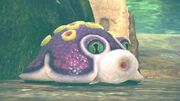 Waddlepus