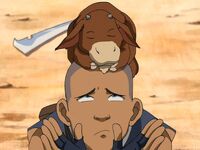 Fu Fu Kuschelipups und Sokka