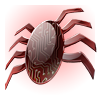 Spider-Tracer