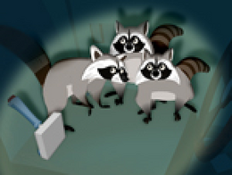 Raccoons 1.png