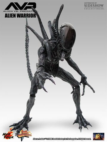 File:Hottoyswarrioravp.jpg