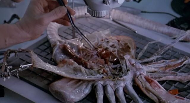 File:Aliens65 800x600.jpg