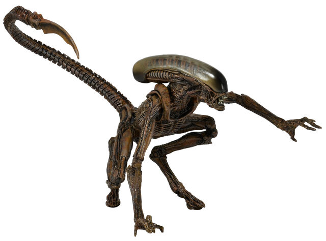 File:NECA Dog Alien.jpg