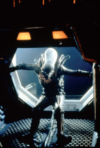 File:Alien 1979.jpg
