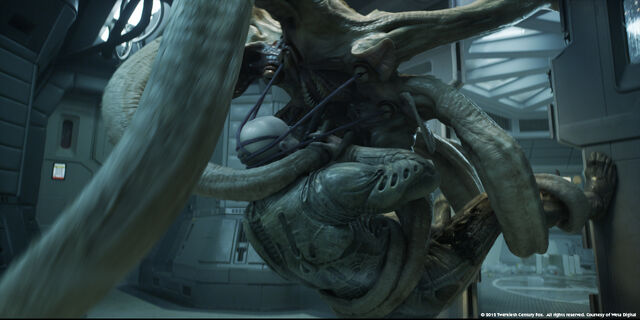 File:PROMETHEUS WETA VFX 10.jpg