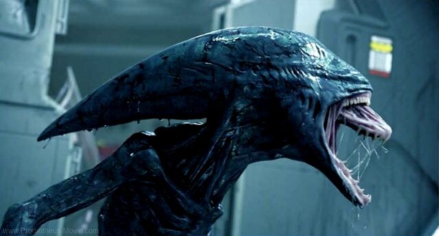 File:Deacon prometheusmovie still.jpg