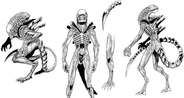 File:Vampirella-Aliens-xenomorph-inkeditedWeb-d783a.jpg