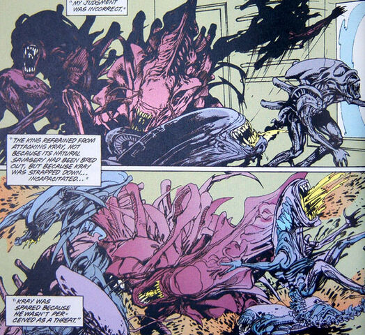 File:Rogue (11).jpg