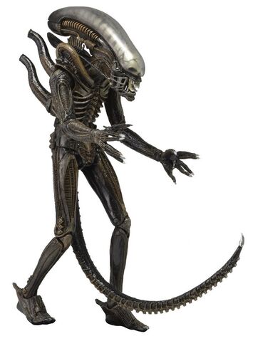 File:NECA Aliens Series-2 02.jpg