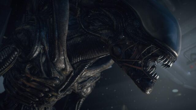 File:Alien Isolation Xeno.jpg