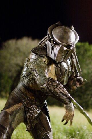 File:Falconer predator.jpg