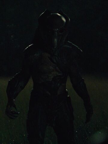 File:FalconerPredator005.jpg