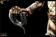 AVP-R- Whip