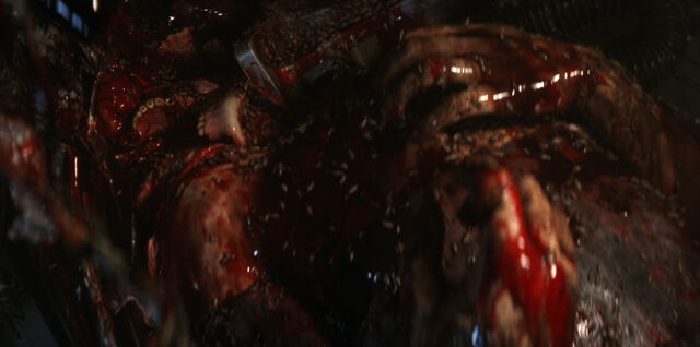 File:Turk's corpse.jpg