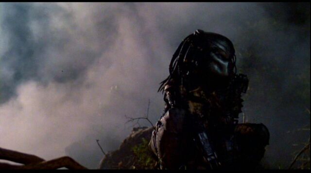 File:Predator 63.jpg