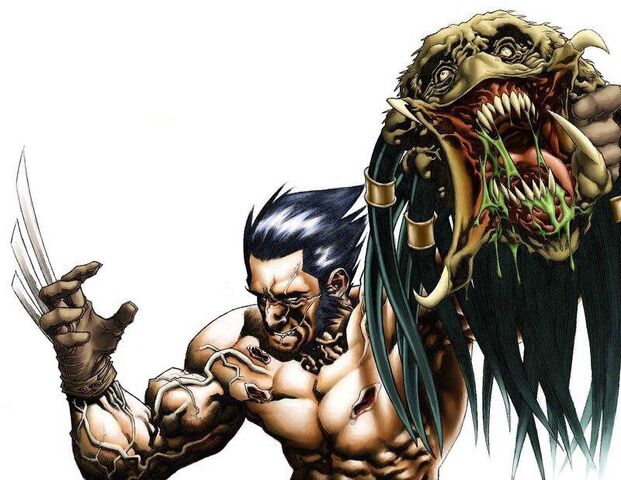 File:Wolverine vs Predator.jpg