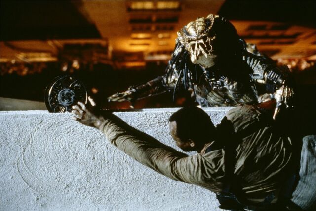 File:CityHuntervsHarrigan1.jpg