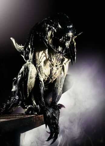 File:PREDALIEN.jpg