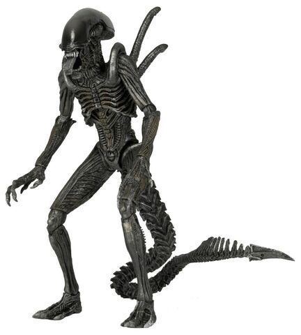 File:Vetrelci-serie-7-avp-warrior-alien-figurka-0.jpg.big.jpg
