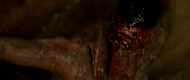 File:Dragon after killing prisoner.jpg