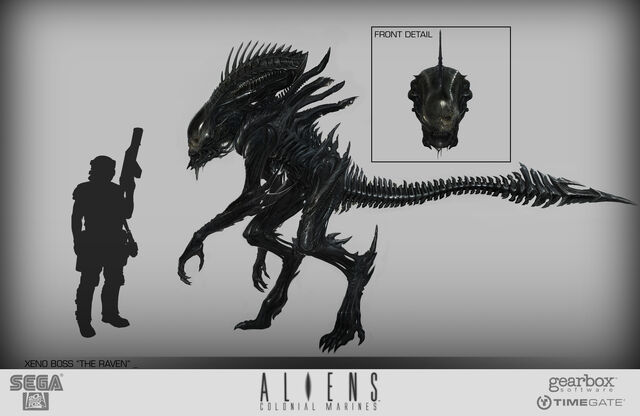File:CON RavenRevised.jpg
