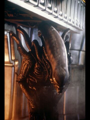 File:Kanessonalien.jpg