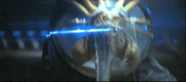 File:Facehugger grabbing Kane.jpg