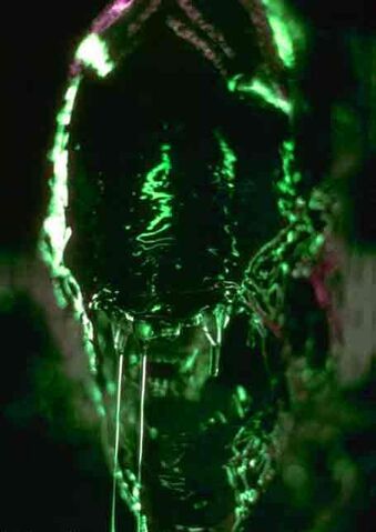 File:Greenal.jpg