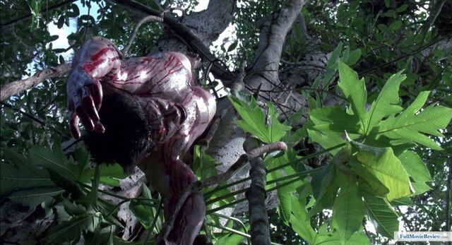 File:Predator (1987)-image-491808.jpg