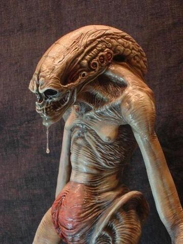 File:417505-Alien newborn 3.jpg