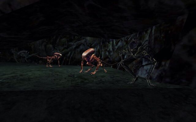 File:AvP2primalhunt013.jpg