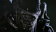 Xenomorph-aliens-teeth