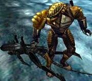 Predator2.jpg