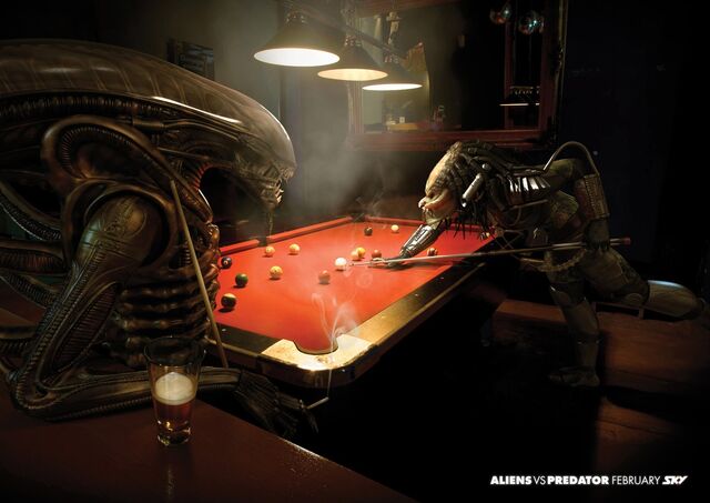 File:Avp skypool.jpg